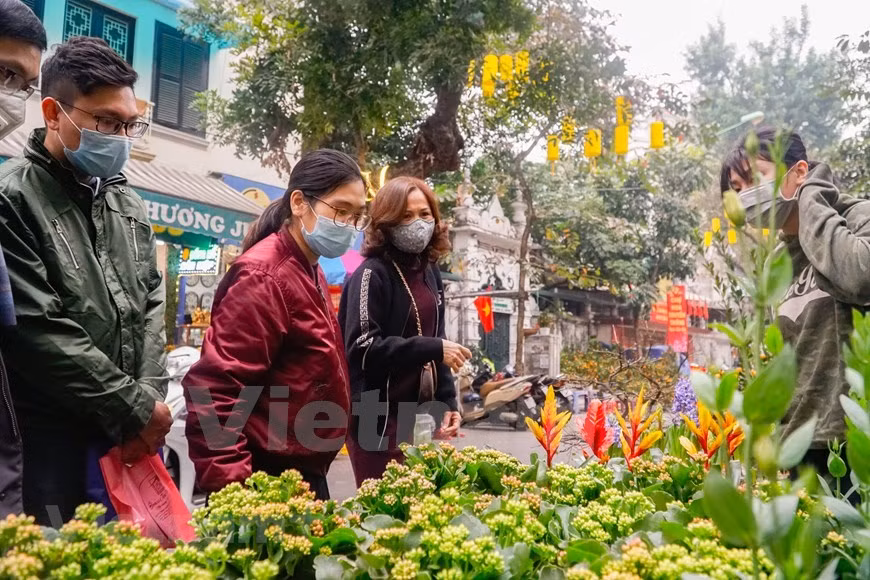 La particularité de ce marché aux fleurs traditionnel du Têt est qu'il ne se réunit qu'une fois par an, du 15 au 30 du 12e mois lunaire. Le marché aux fleurs devient de plus en plus encombré à l'approche du Têt, créant une atmosphère animée distinctive dans la capitale. La plupart des Vietnamiens commencent les préparatifs du Têt un mois avant la fête. Ils croient que les fleurs et les plantes ornementales illumineront leur maison et porteront chance à la famille l'année prochaine. Par conséquent, visiter les marchés aux fleurs est une tâche indispensable et confortable qui signale l'arrivée d'une nouvelle année. Photo : VietnamPlus