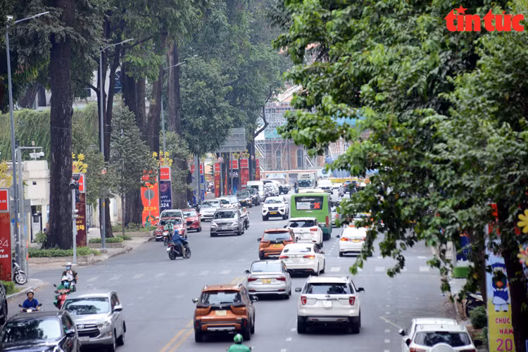 La rue Pham Ngoc Thach (arrondissement 1). Photo : baotintuc.vn