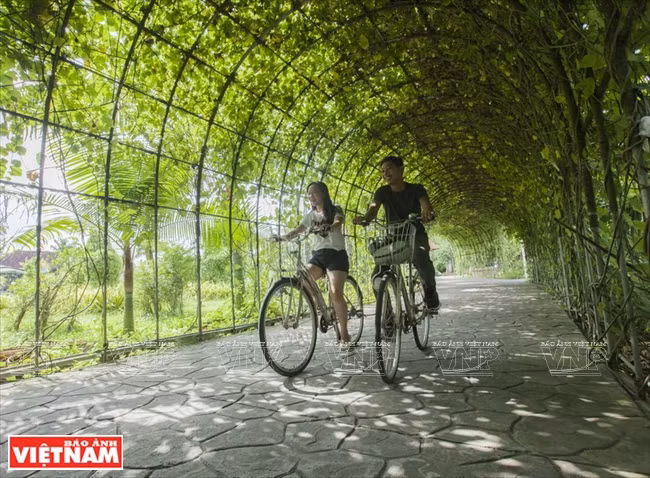 Touristes à vélo au Forever Green Resort 