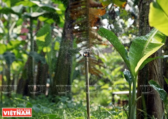 Système d’arrosage automatique.