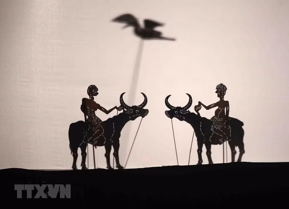 Scène de combat de buffles de la troupe du Cambodge. 