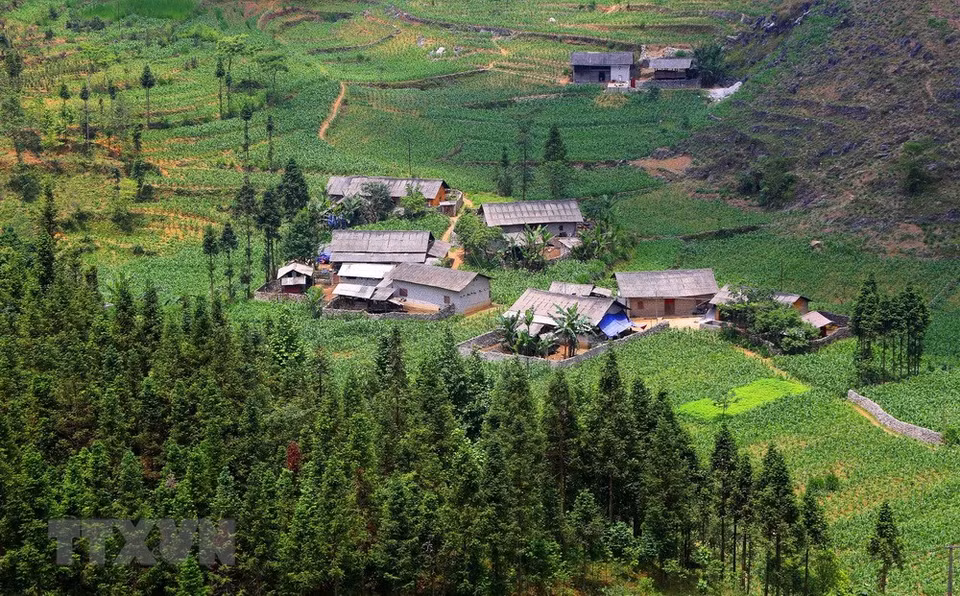 Des petites maisons situées entre vallée et forêts de pins à Yen Minh. 