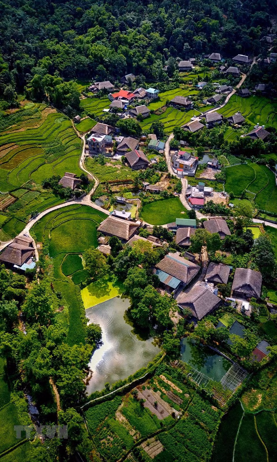 Le hameau de Lam Dong, commune de Phuong Thien, ville de Ha Giang. 