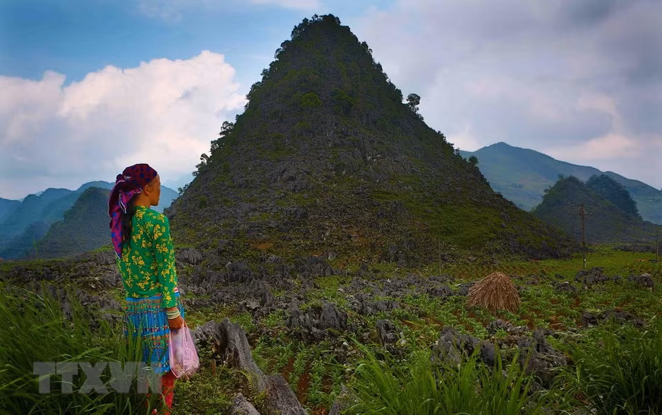 Une femme sur le plateau calcaire de Dông Van. 