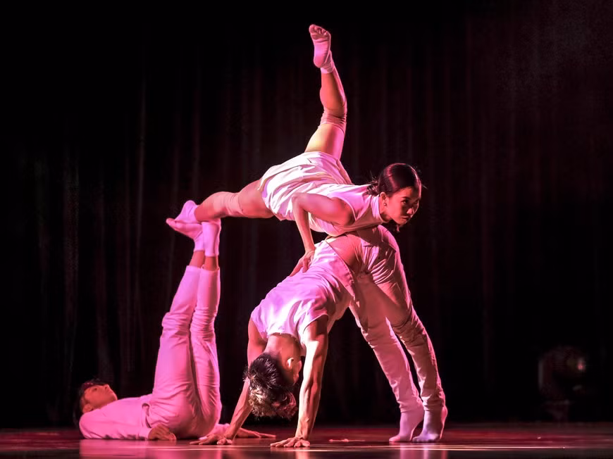 Le festival a proposé des performances de haut niveau et des échanges culturels, avec la participation de danseurs célèbres tels que Danny Tan, directeur du théâtre Odyssey Dance Théâtre (Singapour), la troupe internationale ODT et les deux chorégraphes Sun See &amp; Pyoung Su (République de Corée). Photo: Vietnam+ 