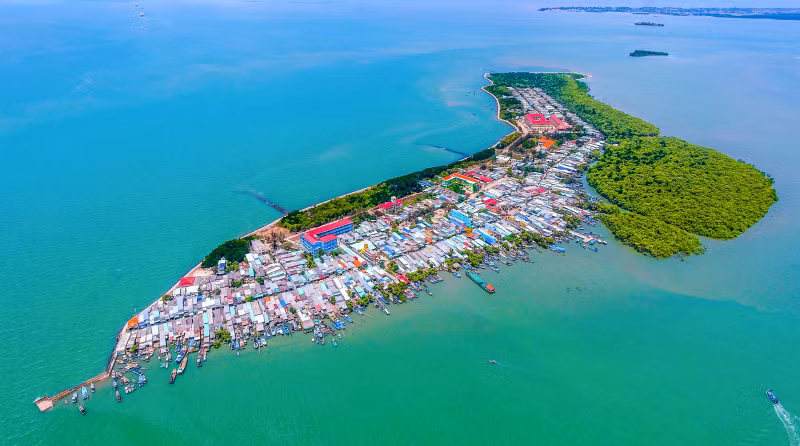Dans la mangrove de Cân Gio, parmi les centaines d’espèces végétales recensées, ce sont les mangliers qui sont les plus abondants. Ils contribuent à la protection et au développement de cette mangrove, véritable « poumon vert » de Hô Chi Minh-Ville. La faune n’est pas en reste avec des centaines de roussettes (grosses chauves-souris) et une réserve d'oiseaux.