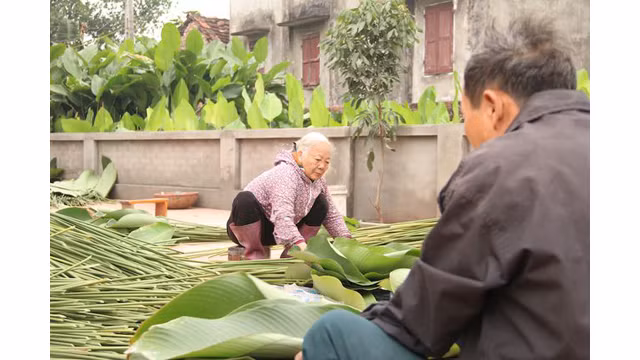 Les feuilles " dong " sont coupées et puis sont classées en rouleau, dont chacun de 100 feuilles. Les rouleaux de grandes feuilles se vendent à 150 000 dôngs chacun.