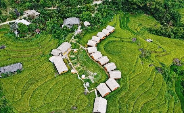 Le tourisme du district de Hoàng Su Phi s’est développé sur la base des champs en terrasses. 