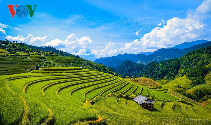 Dans la province de Yen Bai, au Nord-Ouest Vietnam, se trouve Mu Cang Chai, qui est considéré comme la "capitale des rizières" en terrasse du Vietnam. Entre mai et octobre, ses paysages sont absolument magnifiques.