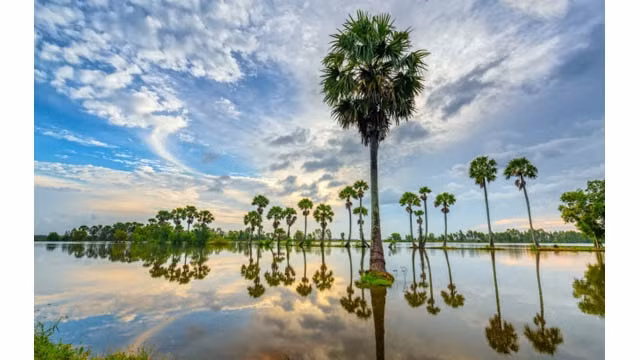 Aube pleine de couleurs d’une région submergée dans le Delta du Mékong. Photo : http://danviet.vn/du-lich