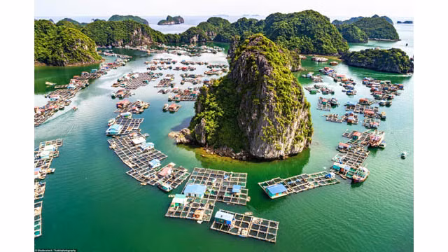 Village de pêcheurs flottant et îlots calcaires en baie de Lan Ha, qui abrite 200 espèces de poissons.