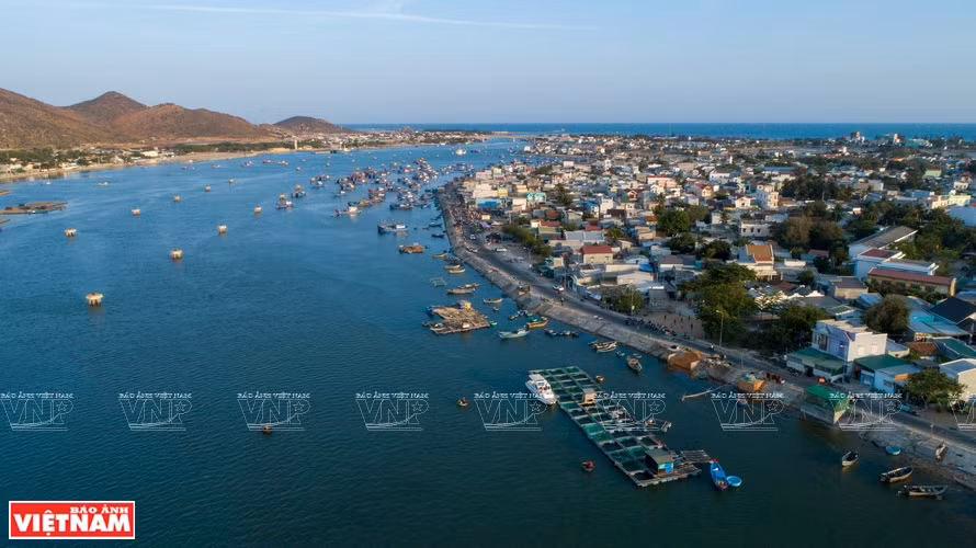 Située dans le district de Ninh Hai, province de Ninh Thuân, la lagune de Nai s’étend sur 1200 ha. Photo : VNP