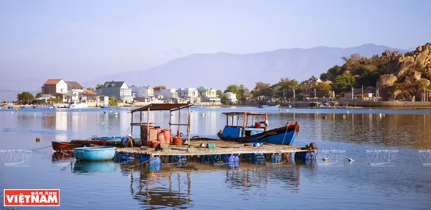 En plus d'attraper les poissons de la lagune, les habitants investissent également dans la pisciculture en radeaux pour élever crevettes, crabes, huîtres, escargots et poissons. Photo : VNP