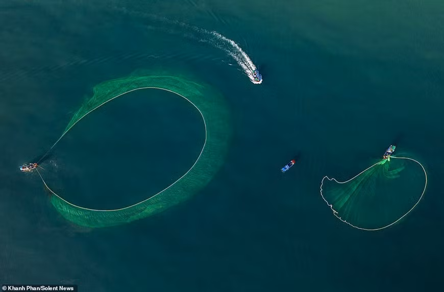 Les pêcheurs déterminent le matin l’emplacement où ils vont lâcher les filets dans les eaux de Phu Yên (Centre). Photo : Daily Mail
