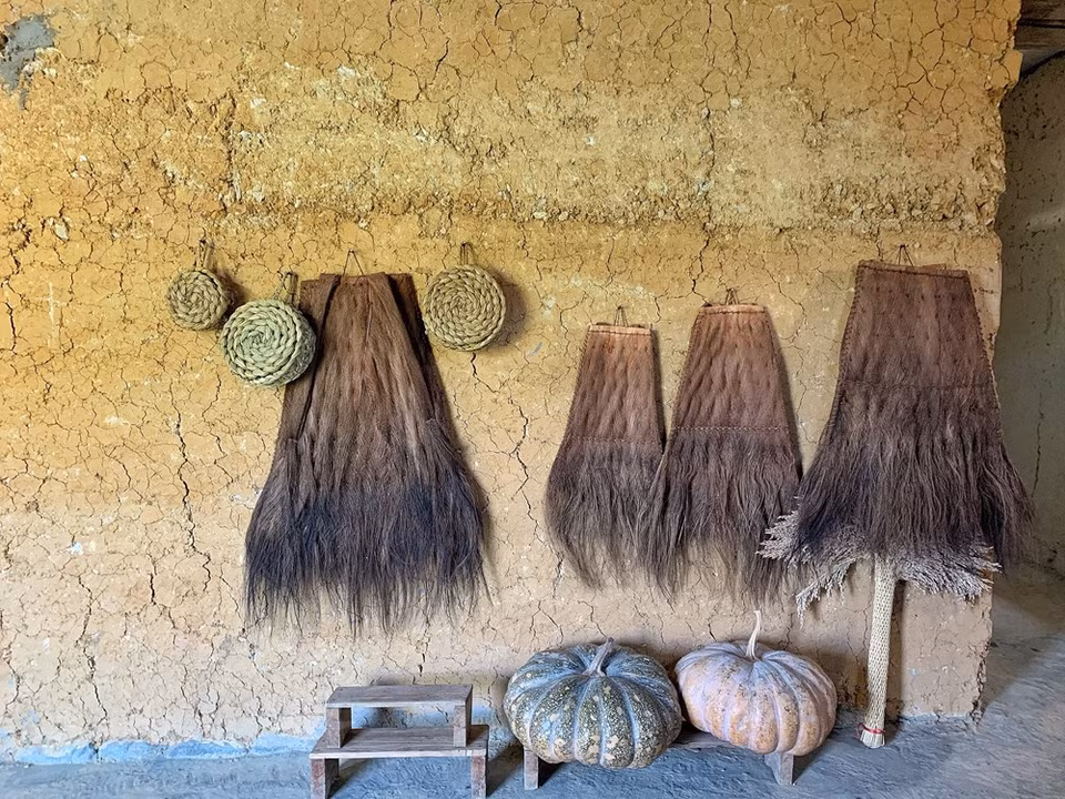La préservation et la promotion de la culture des ethnies minoritaires locales sont la clé du développement touristique durable à Y Ty, district de Bat Xat, province de Lao Cai. Notamment, les fêtes traditionnelles telles que la descente aux champs, Put Tông, la danse du feu des Dao rouges et Khô Già Già, la fête traditionnelle de l'ethnie Hà Nhi consistant à prier pour de bonnes récoltes… sont des traits culturels originaux qui rencontrent beaucoup de succès auprès des touristes. Les habitants et les autorités devraient reconnaître l'importance des valeurs culturelles locales, notamment la préservation de l'architecture caractéristique des maisons trinh tuong des Hà Nhi. Photo : VietnamPlus