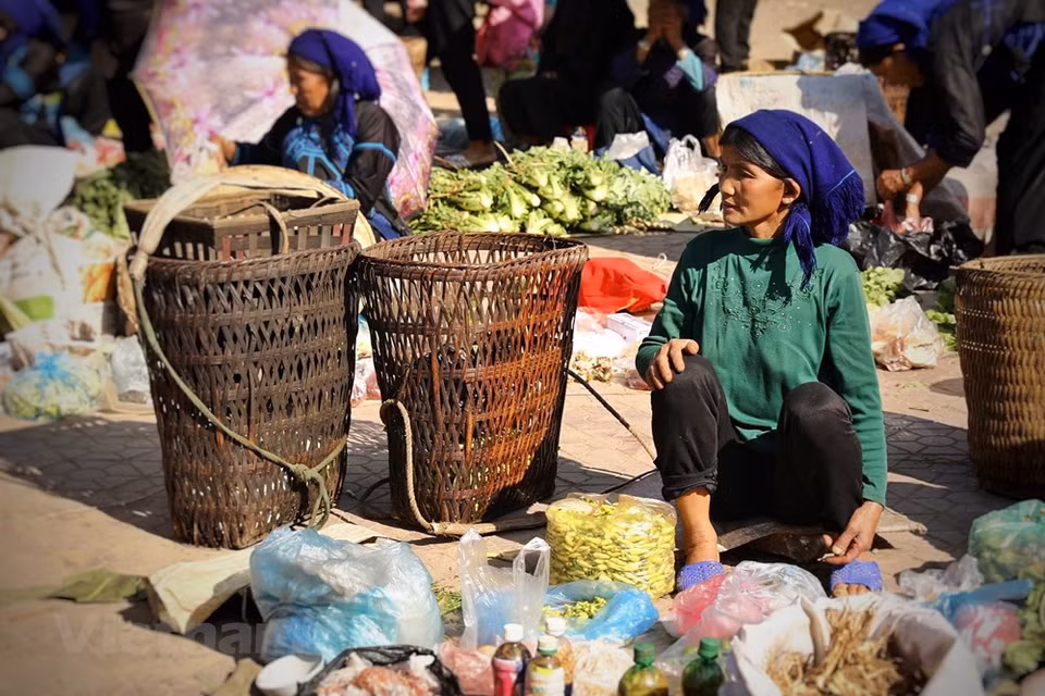 Les Hà Nhi, une petite communauté des hautes régions du Nord, forte de 21.700 âmes. C'est aux confins de la Chine, du Laos et du Vietnam, que se trouve la terre d'élection des Hà Nhi, dans une région vallonnée, aux paysages bucoliques et qui se prête parfaitement bien à la riziculture. Les ancêtres des Hà Nhi venaient du Nord. Ils ont pris pied au Vietnam depuis plusieurs siècles, déjà. Maintenant, ils sont complètement intégrés à la famille des 54 ethnies sœurs du Vietnam. Ils se distinguent par des vêtements colorés. D'un point de vue spirituel, ils s'en remettent aux génies de la nature, et notamment à celui de la forêt. Photo: VietnamPlus