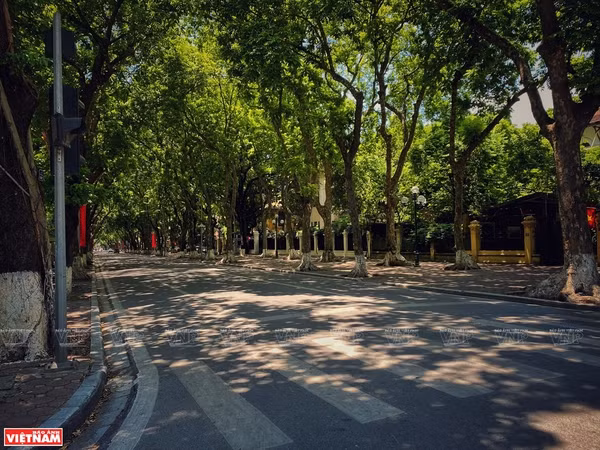 La rue de Phan Dinh Phung est déserte. Photo : VNP