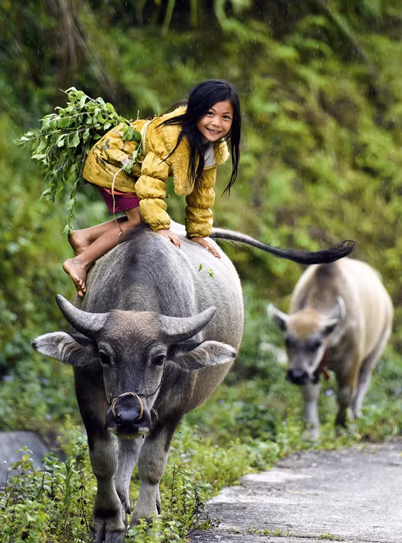 "Mục đồng". (Jeune pasteur) 