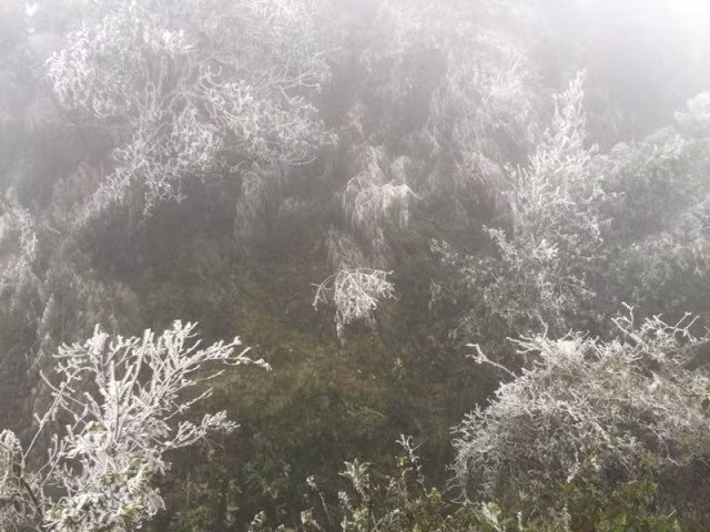 La hauteur de la chaîne de la montagne Hoàng Liên Son sépare deux climats différents entre les deux points de ce col.