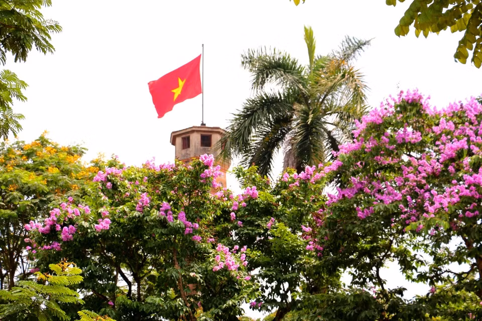 Dans le concert estival, les fleurs mauves des Bang Lang apportent une note douce à la capitale de Hanoi. 