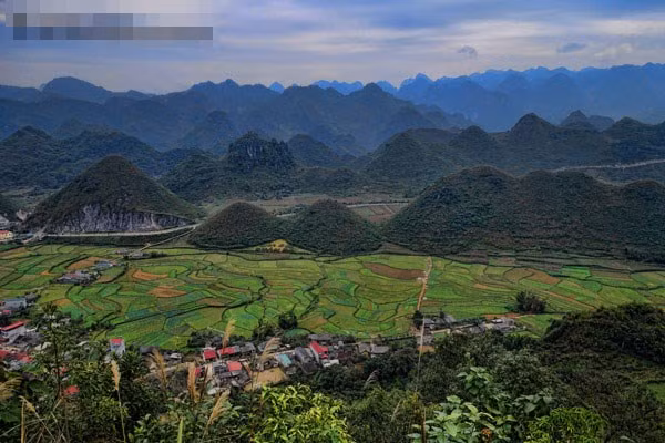 Montagnes entourées de rizières en terrasses à Hà Giang.