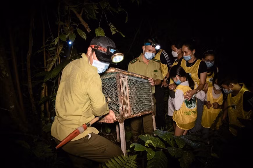 On dénombre au Parc national de Cuc Phuong, province septentrionale de Ninh Binh, environ 2.200 espèces de plantes ligneuses et herbacées dont 118 rares et précieuses, 433 plantes médicales et 229 espèces comestibles. On y trouve encore 1.899 espèces d’animaux invertébrés et 661 de vertébrés, dont 64 sont listées dans le Livre Rouge du Vietnam et 33 dans celui de l’Union internationale pour la conservation de la nature (IUCN), parmi lesquels des ours, des chevaux, des sangliers, des tigres, des panthères, des écureuils et des singes. Un secteur est dédié à l’élevage en pleine nature de cerfs, de gibbons et d’autres animaux. Photo : VetnamPlus