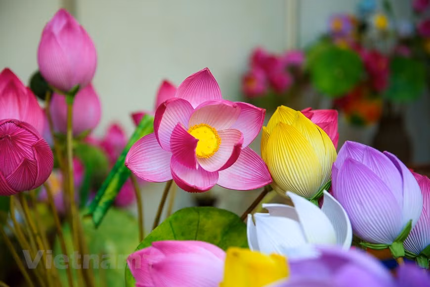 Pour remédier à cette pénurie, les villageois de Thanh Tiên fabriquent depuis des lustres des fleurs en papier. Chaque année, à la mi-octobre, les villageois sèment du riz pour la récolte d’hiver-printemps, puis commencent à faire des fleurs en papier ; et à la 2e moitié du 12e mois lunaire, des fleurs de diverses couleurs se retrouvent dans toutes les maisons. Les fleurs en papier colorés sont utilisées pour décorer dans des maisons des plusieurs localités du du pays, notamment dans celles à Huê. Elles sont utilisées aussi pour décorer l’autel bouddhiste. Les fleurs en papier montrent l'"amour pour la beauté" des gens de Huê. Photo : VietnamPlus