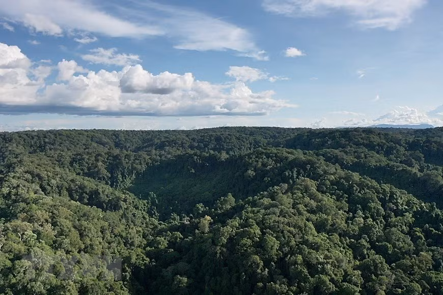 Le comité populaire de la province de Gia Lai formule des mesures concernant l’attribution de terres et de forêts aux ménages, le paiement des services écosystémiques forestiers et le développement d’un écotourisme durable. Photo: VNA