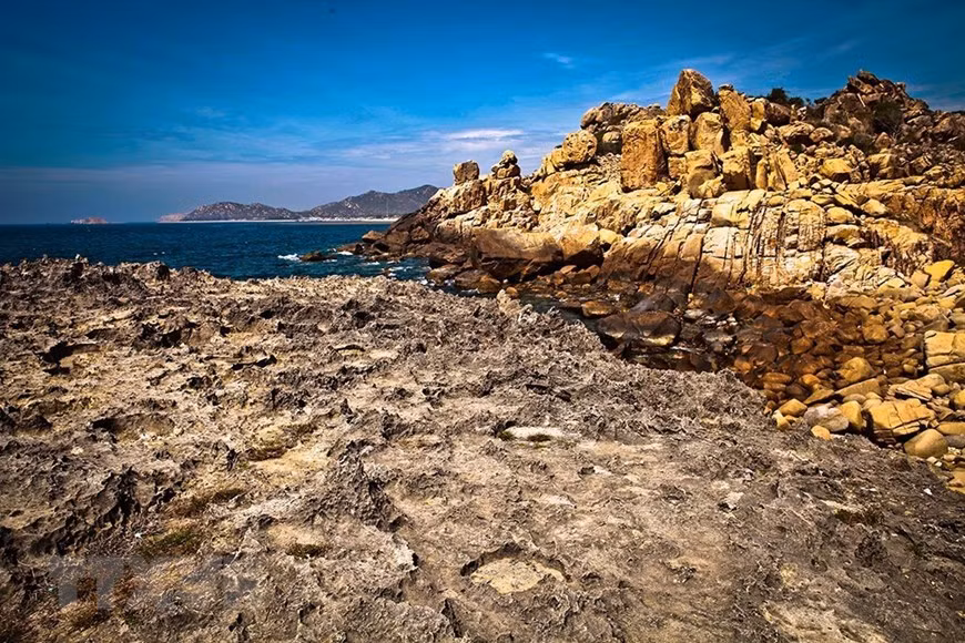 La plage de roche Sao Hỏa (Mars) - ancien récif corallien datant de millions d'années dans la réserve de biosphère de Nui Chua. Photo: VNA