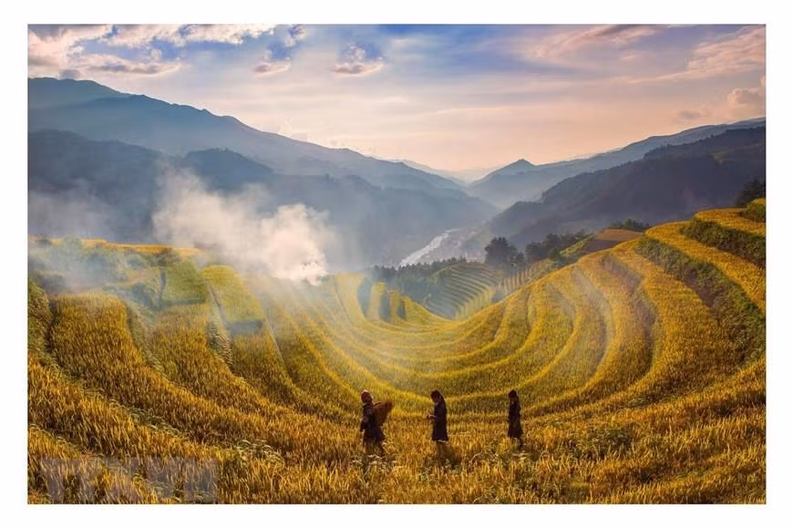 La beauté des rizières en terrasses de Mu Cang Chai. Photo: VNA 