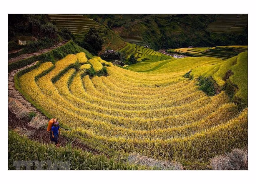 Les rizières en terrasse sont le résultat de l'adaptation des minorités ethniques aux conditions naturelles de leurs lieux de vie : les montagnes. Photo: VNA 