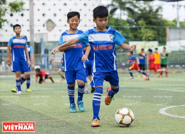 L'Académie S &amp; A forme des joueurs de 6 à 12 ans.