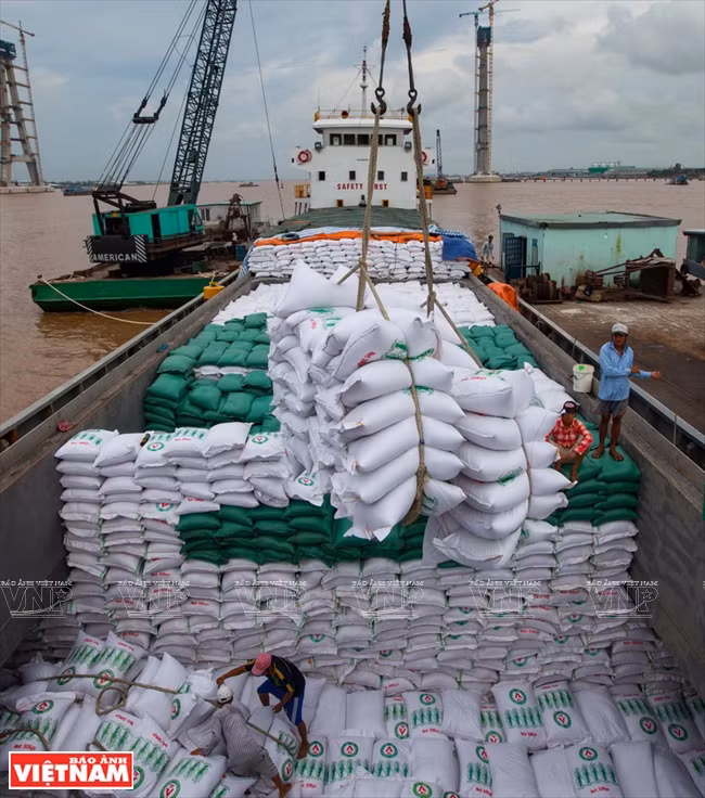 Chargement et déchargement de riz sur la rivière Hâu. 