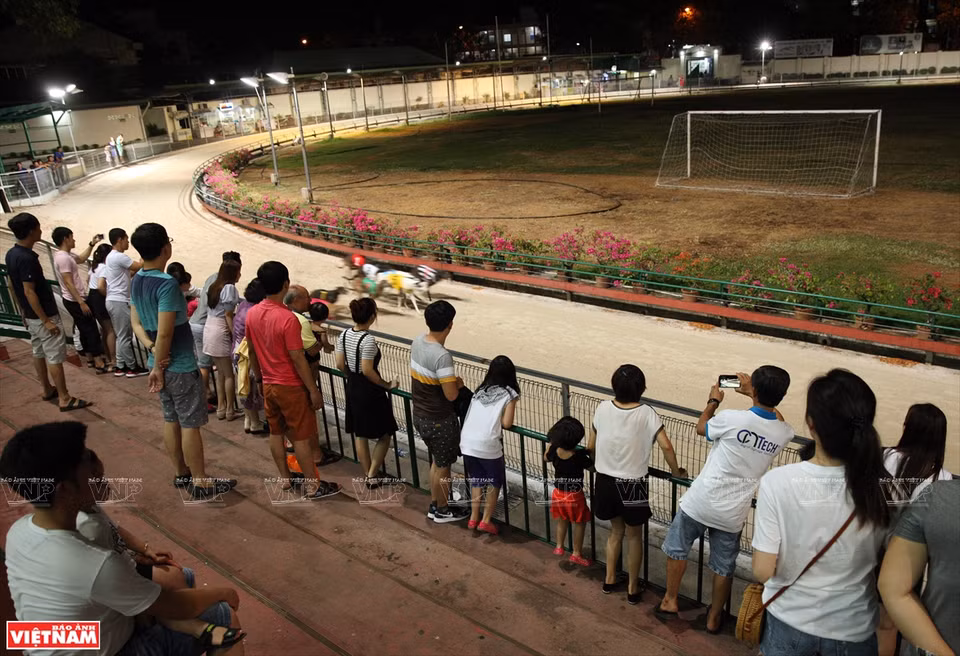 La tribune favorable permettant aux spectateurs de voir facilement la course de lévriers. 