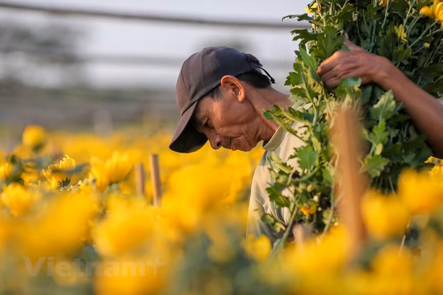Photo: Vietnamplus 