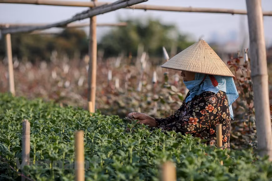 Photo: Vietnamplus 