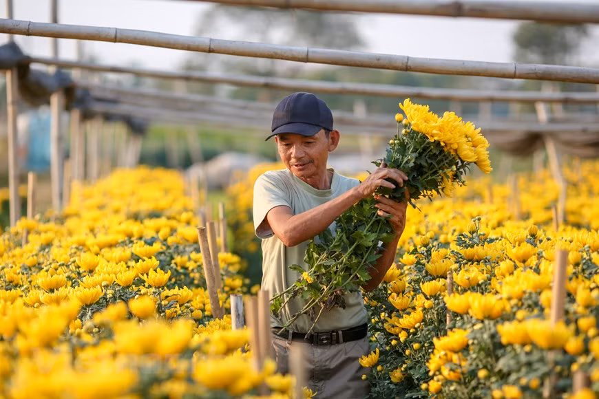 Photo: Vietnamplus 