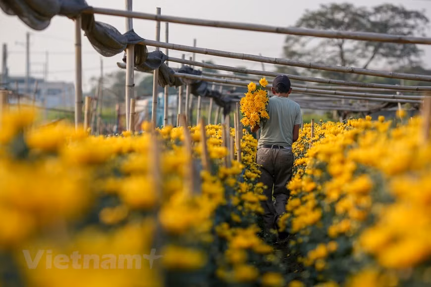 Photo: Vietnamplus 