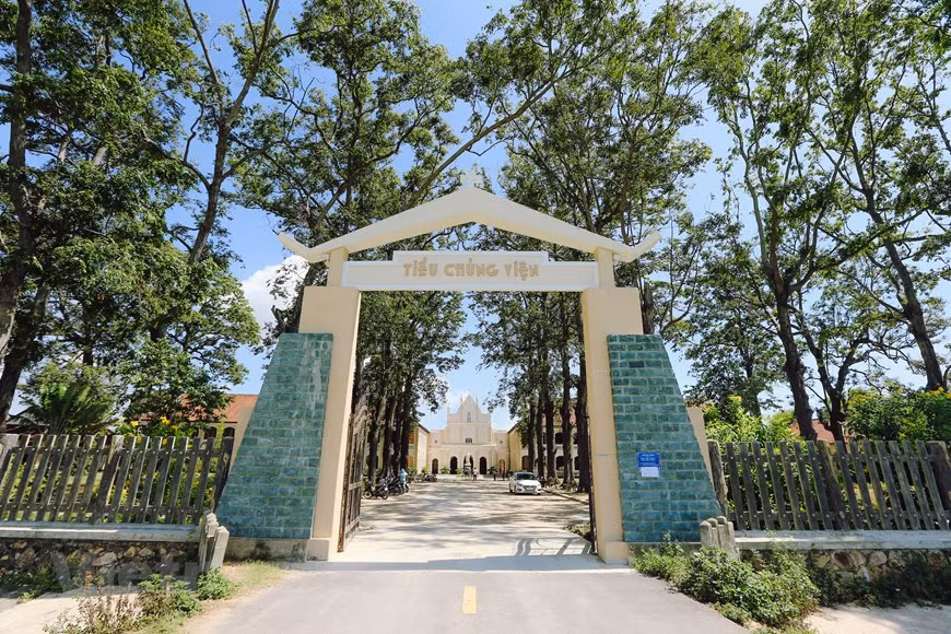 Elle s'installe au hameau de Quang Vân, commune de Phuoc Thuân, district de Tuy Phuoc, province de Binh Dinh. Photo: VNA 