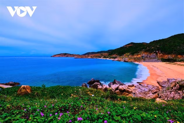 La première destination est la baie de Vinh Hy, située à environ 20 kilomètres du centre-ville de Phan Rang-Thap Chàm.Photo: VOV 