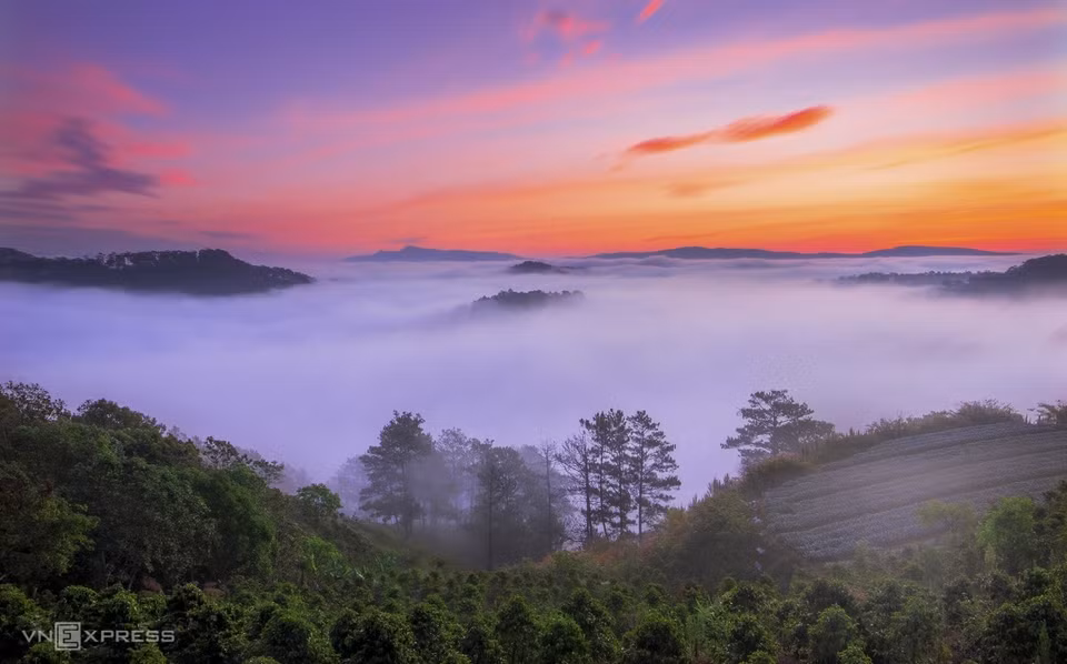 Aube sur une pinède dans le village de Tuy Son, commune de Xuan Tho.