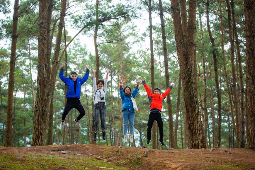  La province de Ha Giang attire les touristes par ses immenses rizières en terrasses, ses champs de fleurs de sarrasin, de pruniers, et de pêchers; et ses paysages montagneux grandioses. L'un des plus beaux sites de la province est le parc géologique du plateau karstique de Dông Van reconnu géoparc mondial par l’UNESCO. Si vous avez la possibilité de venir à Ha Giang, en plus de visiter des sites célèbres sur le plateau rocheux, prenez le temps de profiter de moments de détente au bord de la forêt de pins de Yen Minh. Vous ne serez certainement pas déçu. Photo : Vietnamplus 