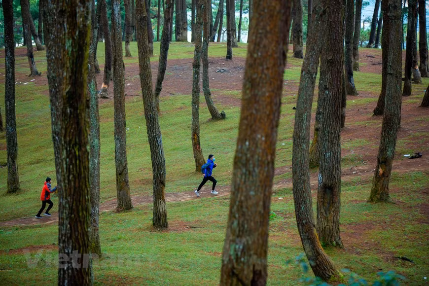  Outre ses formations géologiques remarquables, Ha Giang est également appréciée pour ses ethnies minoritaires qui ont su préserver leurs traditions, leur culture et leur style de vie : H’mong, Tay, Dao, Nung, Lo Lo, Pu Peo, Dao... Ici, les visiteurs peuvent venir partager les activités quotidiennes des minorités comme le tissage de brocart, le gardiennage des buffles, la recherche de bois de chauffage…Une vie rude pour ces montagnards qui vivent dans des villages peu accessibles et dont le climat ne favorise ni la culture ni l’élevage. Cependant, le tourisme fonctionne bien car la zone est très préservée. Photo : Vietnamplus 