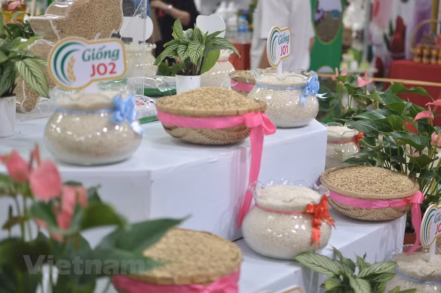  Le riz vietnamien est présenté lors de ce festival. 