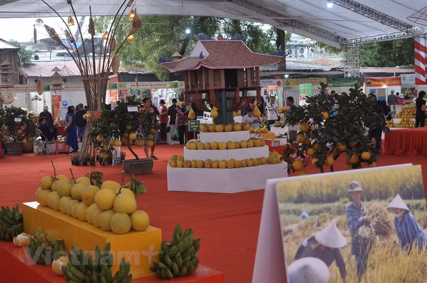  Une grande variété de fruits sont présentés au public. 