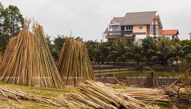 Les produits en bambou de Xuân Lai sont de plus en plus prisés au Vietnam comme à l’étranger. 