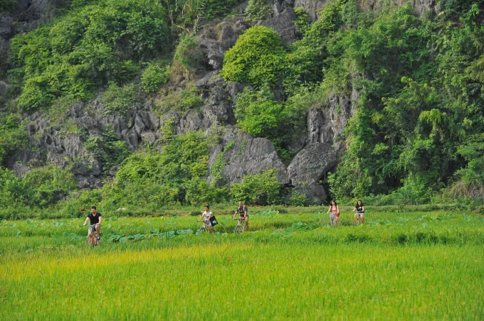 Considéré comme la «baie d​'Ha Long terrestre», Tam Côc accueille annuellement des milliers de visiteurs du monde entier.