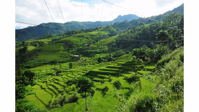 Le district de Hoàng Su Phi en automne vous offre de belles scènes de la nature. 