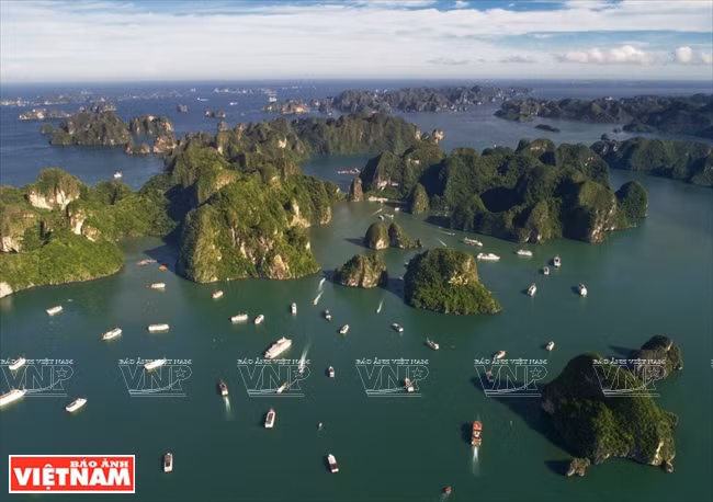 Le Comité populaire de la province de Quang Ninh a approuvé la navigation de plus de 600 bateaux de croisière de 3 à 5 étoiles dans la baie d’Halong. 
