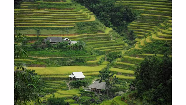 Hoàng Su Phi est l’habitat de 18 ethnies, un terroir multiethnique et riche d’une identité culturelle originale.